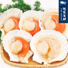 【阿家海鮮】生凍半殼扇貝 (500g±10%/包-6顆入/包)